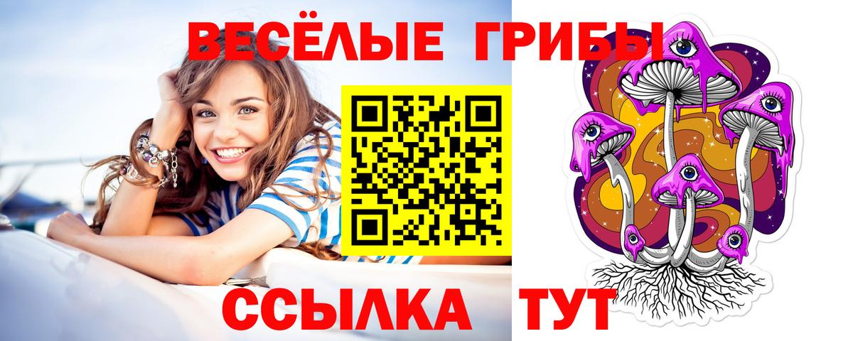 Уварово  Галлюциногенные грибы мицелий  закладка  Галлюциногенные грибы Psilocybine cubensis  Вход с VPN 